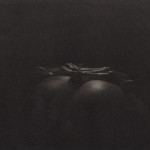 mjlyh082pprj_full